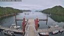 ./images/calvert/dock/20250628/dock20250628_210010M.jpg