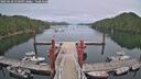 ./images/calvert/dock/20250628/dock20250628_210509M.jpg