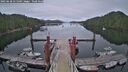 ./images/calvert/dock/20250628/dock20250628_215509M.jpg