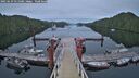 ./images/calvert/dock/20250629/dock20250629_051508M.jpg
