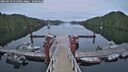 ./images/calvert/dock/20250629/dock20250629_052508M.jpg