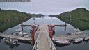 ./images/calvert/dock/20250629/dock20250629_054509M.jpg