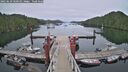 ./images/calvert/dock/20250629/dock20250629_060510M.jpg