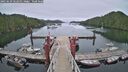 ./images/calvert/dock/20250629/dock20250629_062011M.jpg