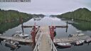 ./images/calvert/dock/20250629/dock20250629_062511M.jpg