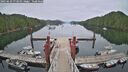 ./images/calvert/dock/20250629/dock20250629_073011M.jpg