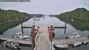 ./images/calvert/dock/20250629/dock20250629_073510M.jpg