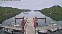 ./images/calvert/dock/20250629/dock20250629_074010M.jpg