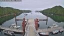 ./images/calvert/dock/20250629/dock20250629_075009M.jpg