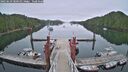 ./images/calvert/dock/20250629/dock20250629_080511M.jpg