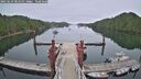 ./images/calvert/dock/20250629/dock20250629_081011M.jpg