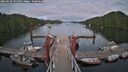 ./images/calvert/dock/20250630/dock20250630_191009M.jpg