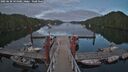 ./images/calvert/dock/20250630/dock20250630_194509M.jpg