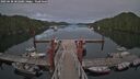./images/calvert/dock/20250630/dock20250630_202009M.jpg