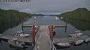 ./images/calvert/dock/20250630/dock20250630_204509M.jpg