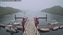 ./images/calvert/dock/20250701/dock20250701_054509M.jpg