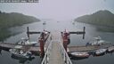 ./images/calvert/dock/20250701/dock20250701_060509M.jpg