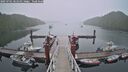 ./images/calvert/dock/20250701/dock20250701_061510M.jpg