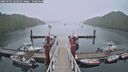 ./images/calvert/dock/20250701/dock20250701_063511M.jpg