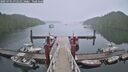 ./images/calvert/dock/20250701/dock20250701_071510M.jpg