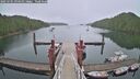 ./images/calvert/dock/20250701/dock20250701_094010M.jpg