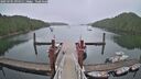 ./images/calvert/dock/20250701/dock20250701_094511M.jpg