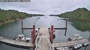 ./images/calvert/dock/20250701/dock20250701_114010M.jpg