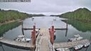 ./images/calvert/dock/20250701/dock20250701_125011M.jpg