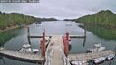./images/calvert/dock/20250701/dock20250701_125509M.jpg