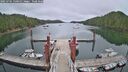 ./images/calvert/dock/20250701/dock20250701_130011M.jpg