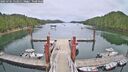./images/calvert/dock/20250701/dock20250701_132010M.jpg