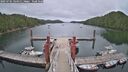 ./images/calvert/dock/20250701/dock20250701_144011M.jpg