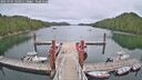 ./images/calvert/dock/20250701/dock20250701_144511M.jpg