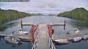 ./images/calvert/dock/20250701/dock20250701_175510M.jpg