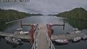 ./images/calvert/dock/20250701/dock20250701_192508M.jpg