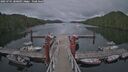 ./images/calvert/dock/20250701/dock20250701_200009M.jpg