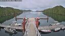 ./images/calvert/dock/20250701/dock20250701_202009M.jpg