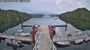 ./images/calvert/dock/20250702/dock20250702_054509M.jpg