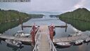 ./images/calvert/dock/20250702/dock20250702_060009M.jpg