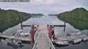 ./images/calvert/dock/20250702/dock20250702_081011M.jpg