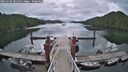 ./images/calvert/dock/20250702/dock20250702_085510M.jpg