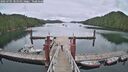./images/calvert/dock/20250705/dock20250705_101011M.jpg