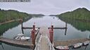 ./images/calvert/dock/20250707/dock20250707_074510M.jpg