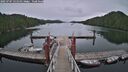 ./images/calvert/dock/20250707/dock20250707_131010M.jpg