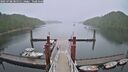 ./images/calvert/dock/20250708/dock20250708_085511M.jpg