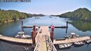 ./images/calvert/dock/20250710/dock20250710_115009M.jpg
