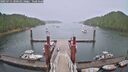 ./images/calvert/dock/20250711/dock20250711_100510M.jpg