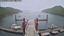 ./images/calvert/dock/20250711/dock20250711_110508M.jpg