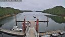 ./images/calvert/dock/20250712/dock20250712_102009M.jpg