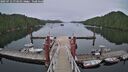 ./images/calvert/dock/20250712/dock20250712_173511M.jpg